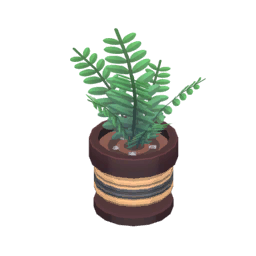File:Potted wild ferns.png