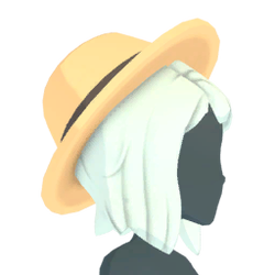 Straw boater.png