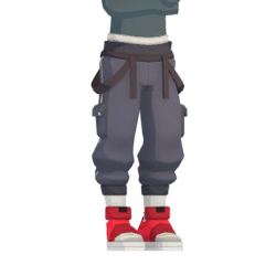 Cargo pants with hoops.png