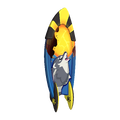 Unofficial render of Momo Steed's surfboard.