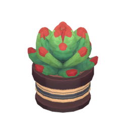 Flowering cactus.png