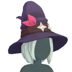 Witchy hat.png