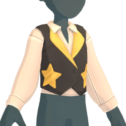 Starry top.png
