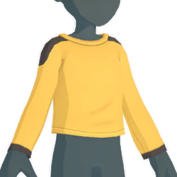Shirt with shoulder pads.png